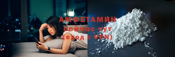 mdpv Вяземский