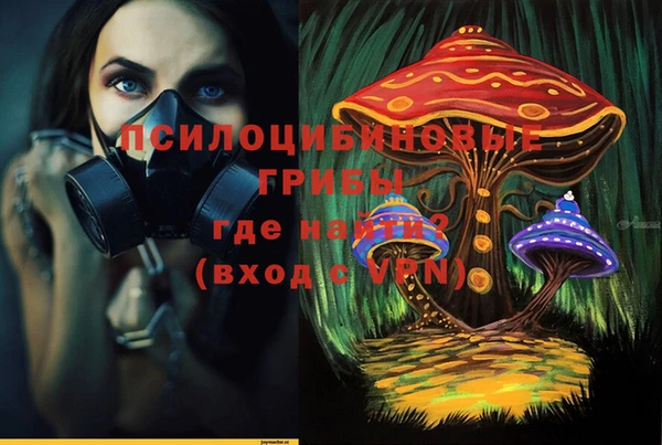 мяу мяу мука Шали