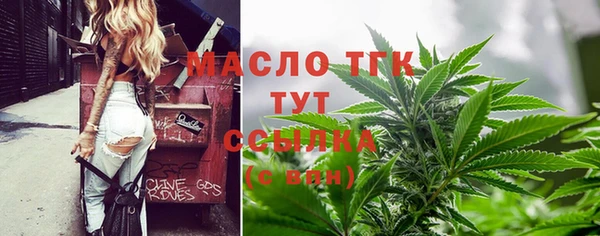 a pvp Горняк
