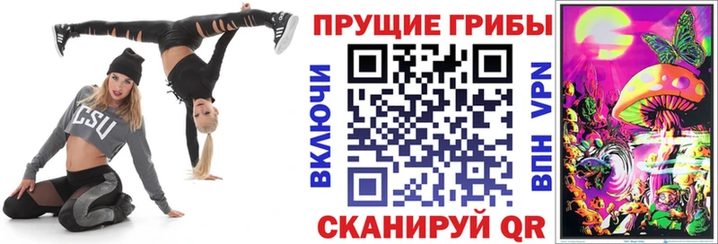 Галлюциногенные грибы Psilocybe  Звенигово 