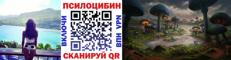 Псилоцибиновые грибы мухоморы Звенигово